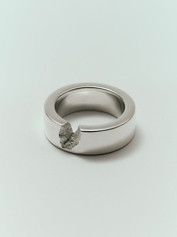 STRATA Ring 06
